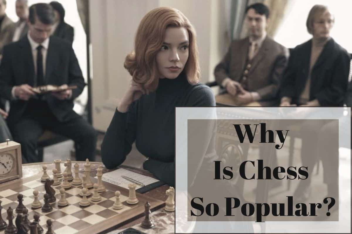 Why Is Chess So Popular? Hercules Chess